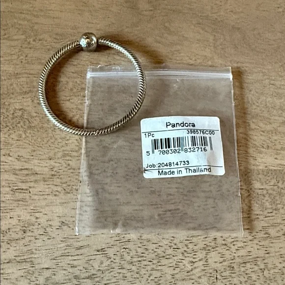 BRAND NEW! Pandora O Ring Carrier 925 Sterling Silver (399576C00) - Picture 2 of 4